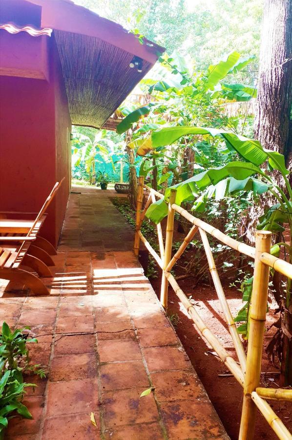 Casa Mapache Hotel Тамариндо Екстериор снимка