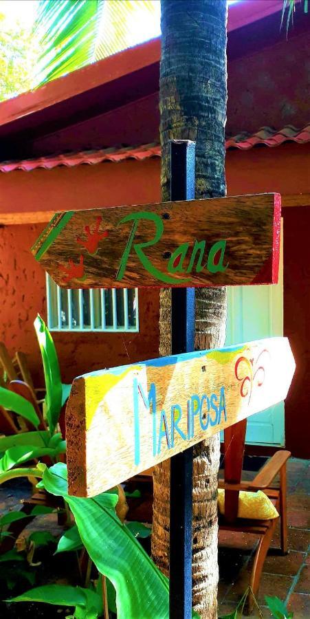 Casa Mapache Hotel Тамариндо Екстериор снимка