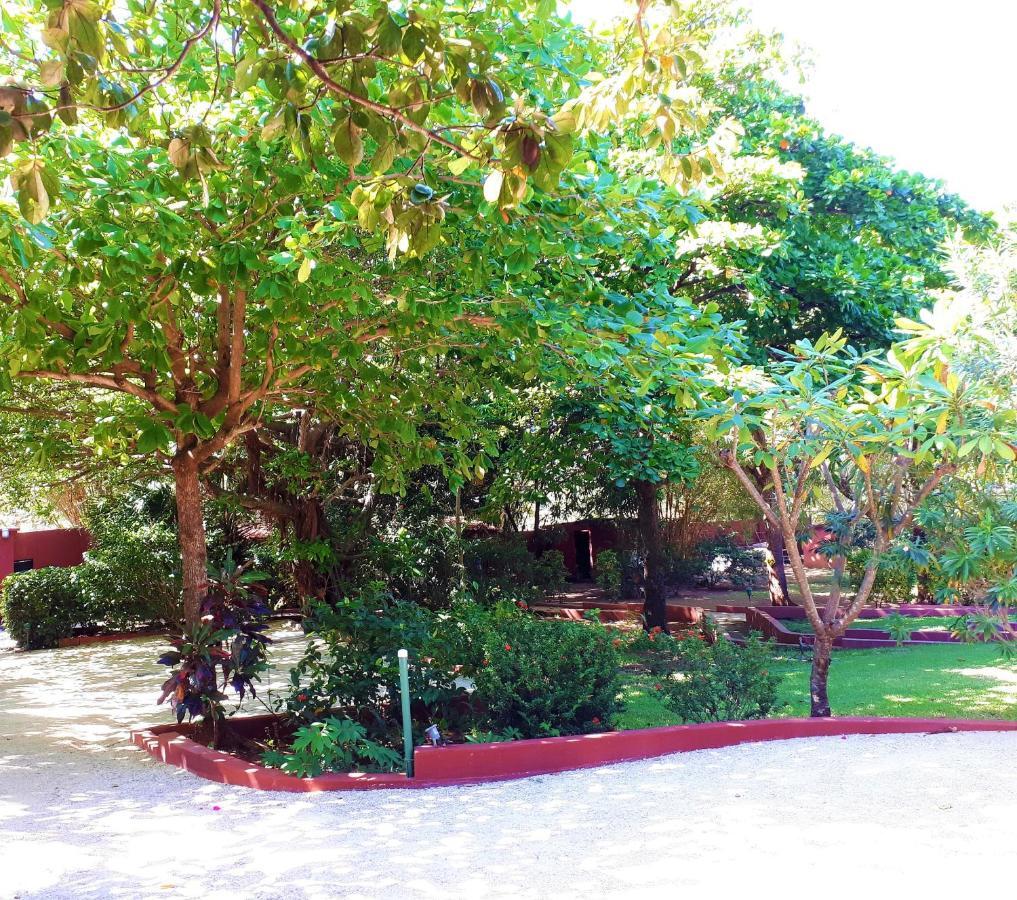 Casa Mapache Hotel Тамариндо Екстериор снимка