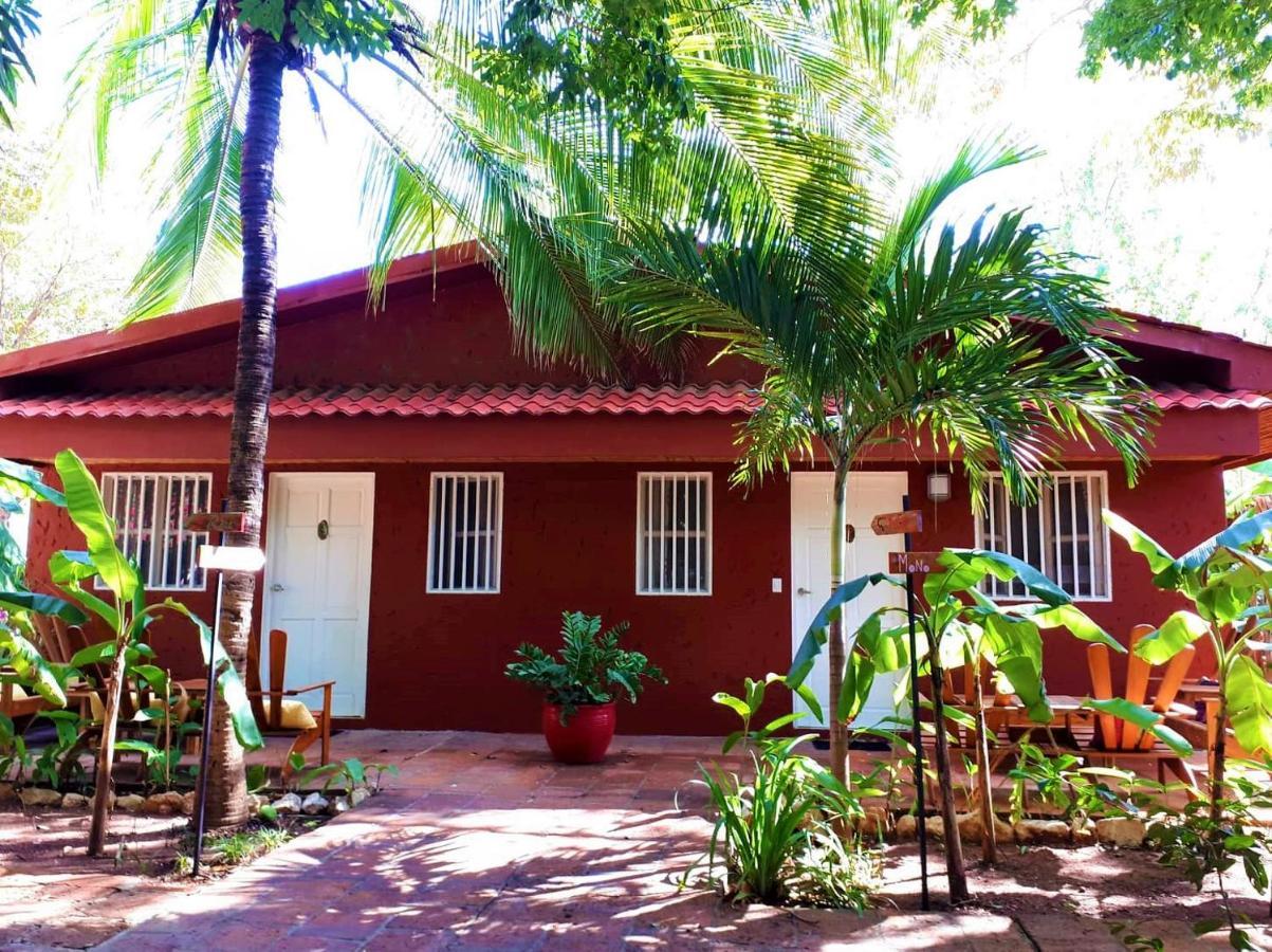 Casa Mapache Hotel Тамариндо Екстериор снимка